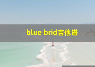 blue brid吉他谱